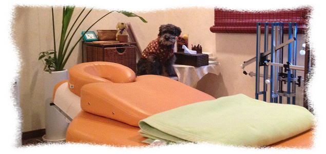 �X���C���[�W